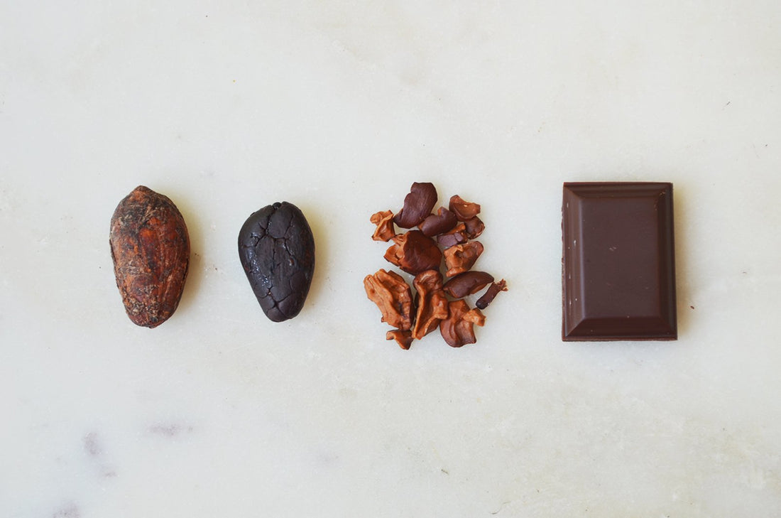 Why Do We Focus on Bean-to-bar Craft Chocolate?